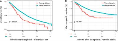 Thermal Ablation Versus Wedge Resection for Stage I Non-small Cell Lung Cancer Based on the Eighth Edition of the TNM Classification: A Population Study of the US SEER Database